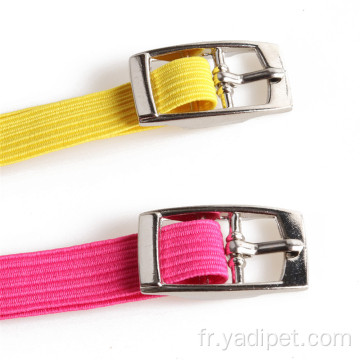 Collier de chat en PU avec cloches couleur bonbon élastique